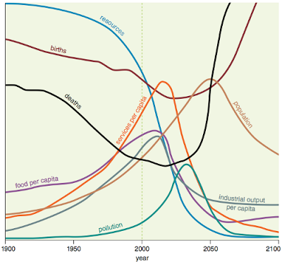 Limits to Growth Standard model 2004