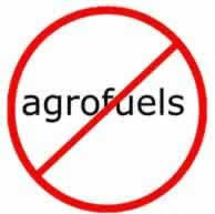 no agrofuels